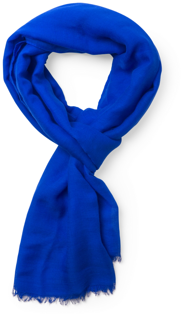 Immagine Foulard Ribban