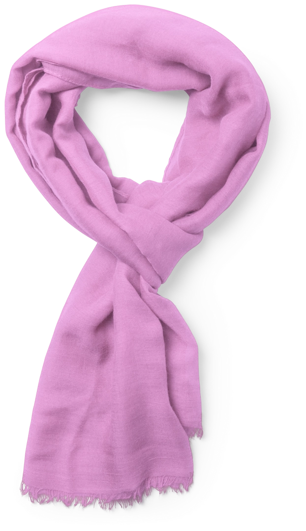 Immagine Foulard Ribban