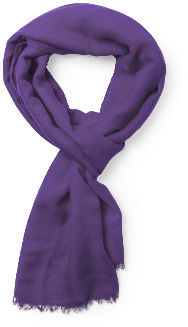 Immagine Foulard Ribban