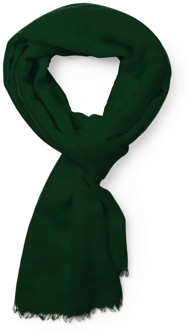 Immagine Foulard Ribban