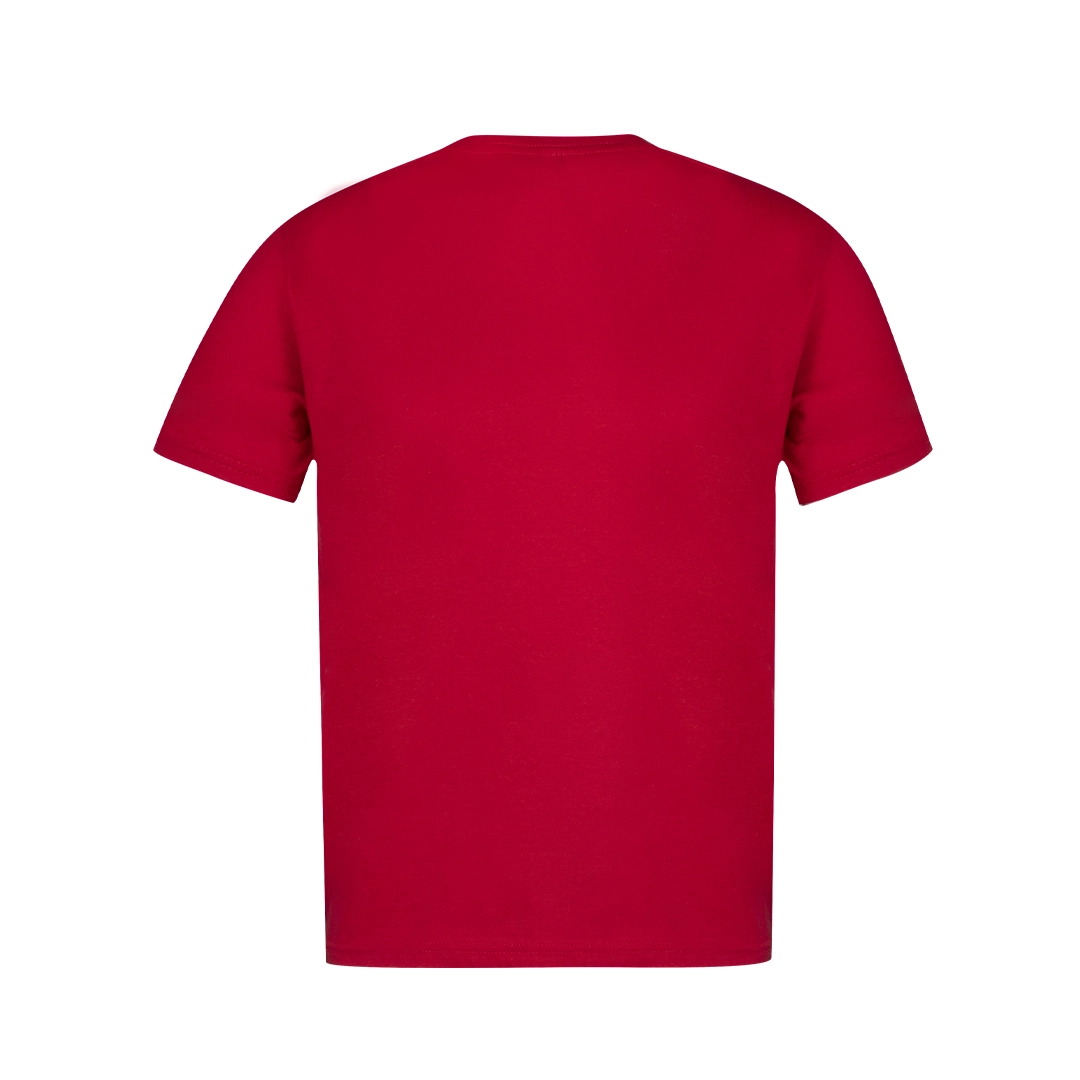 Immagine T-Shirt Adulto Colore 
