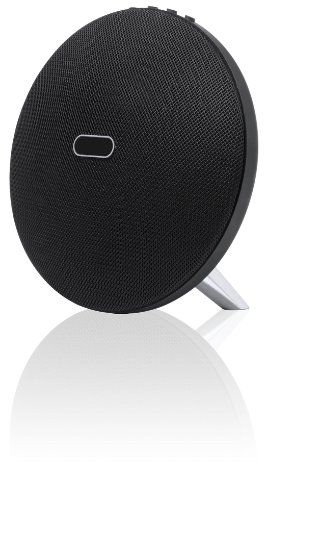 Immagine Cassa Holsux