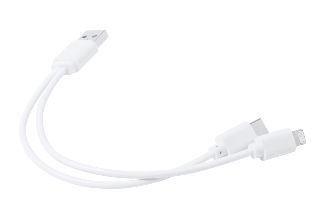 Immagine Cavo Caricatore Vitral