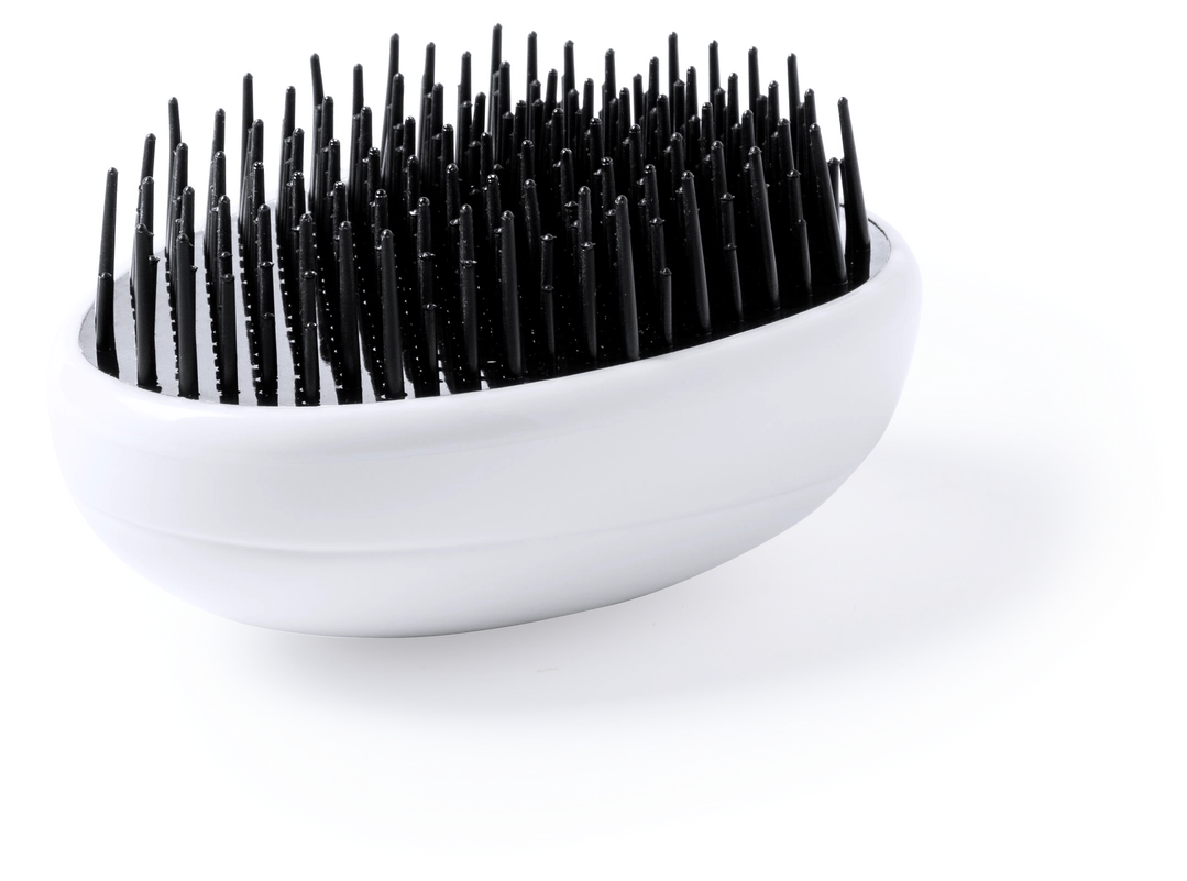 Immagine Spazzola Zilam