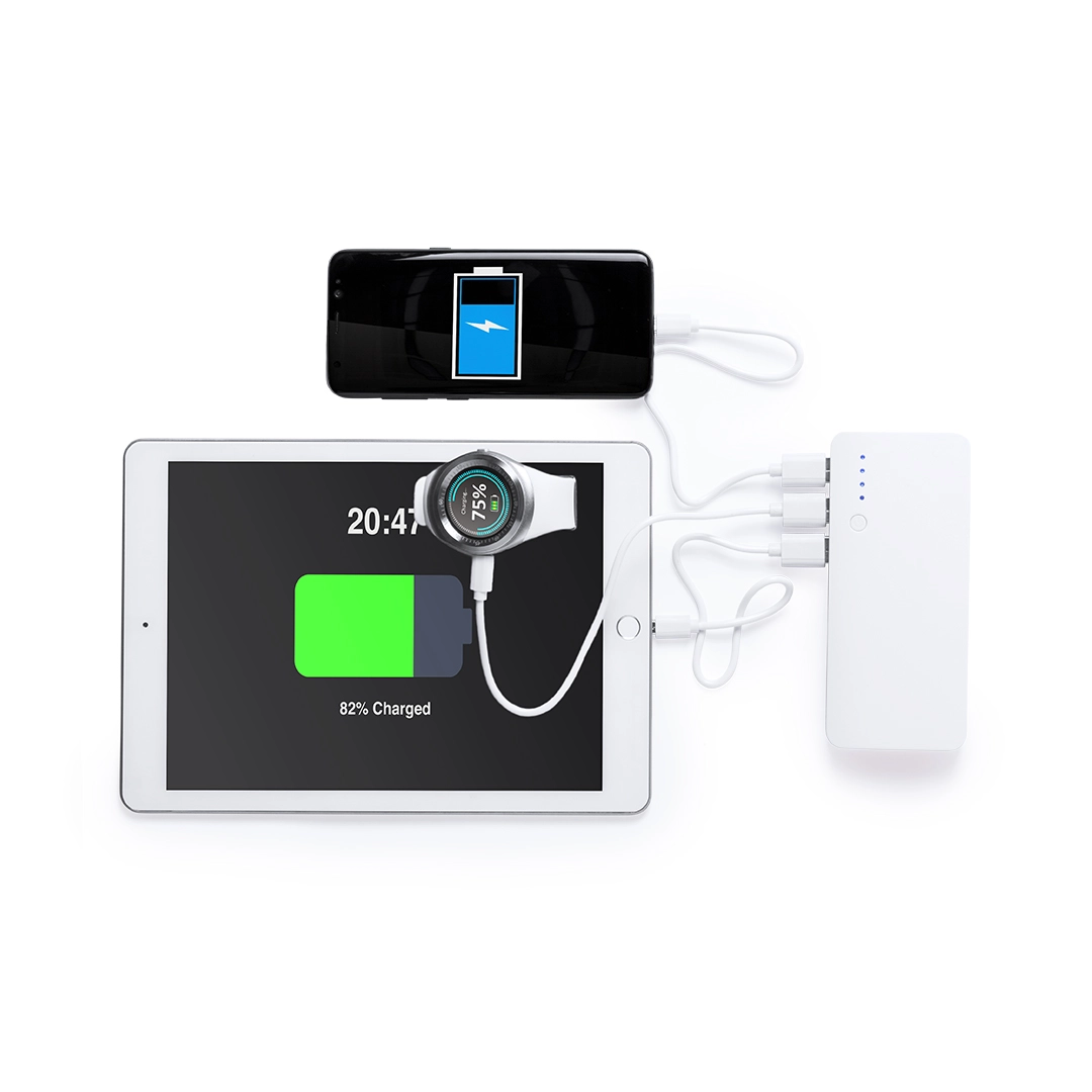 Immagine Power Bank Kaprin