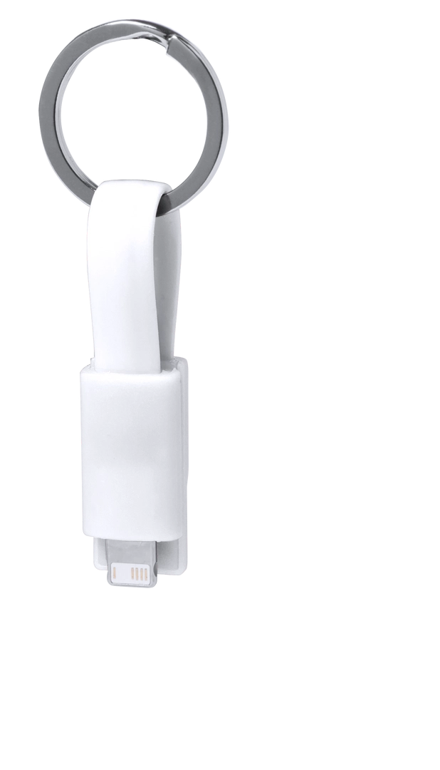 Immagine Cavo Caricatore Holnier