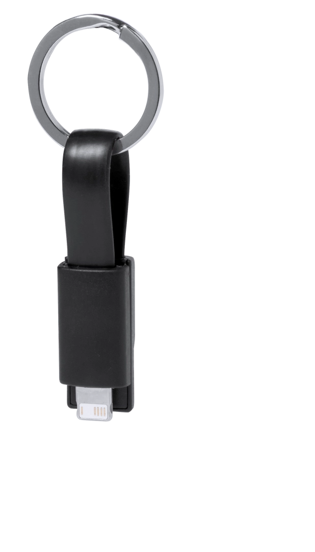 Immagine Cavo Caricatore Holnier