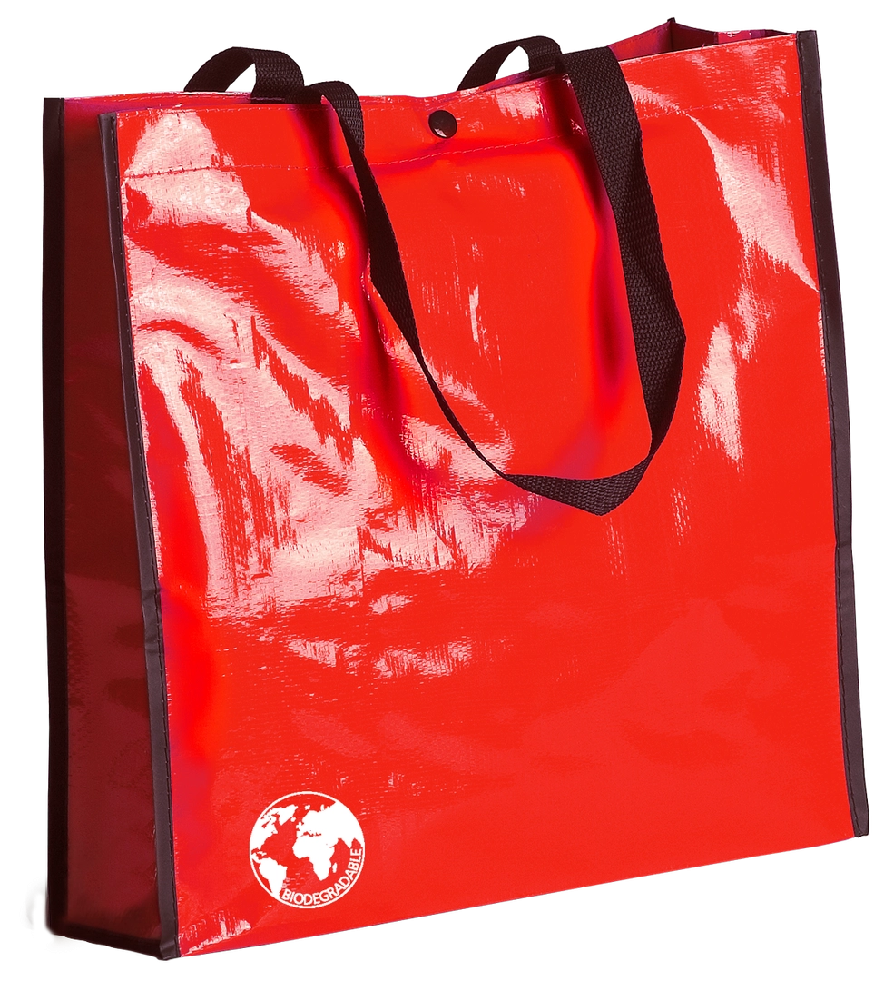 Immagine Borsa Recycle