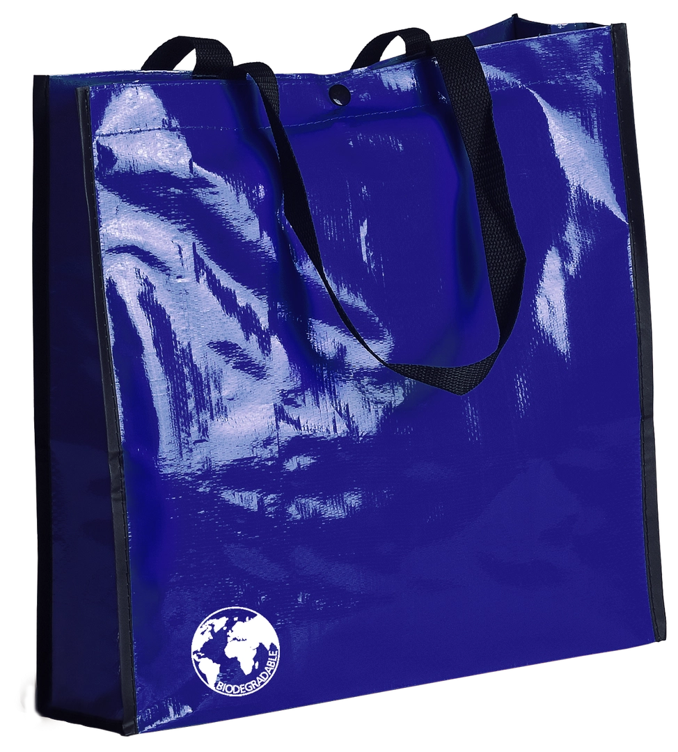 Immagine Borsa Recycle