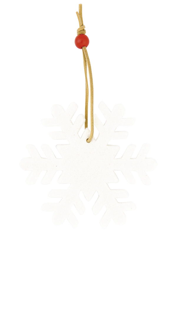 Immagine Decorazione Natalizia Fantasy