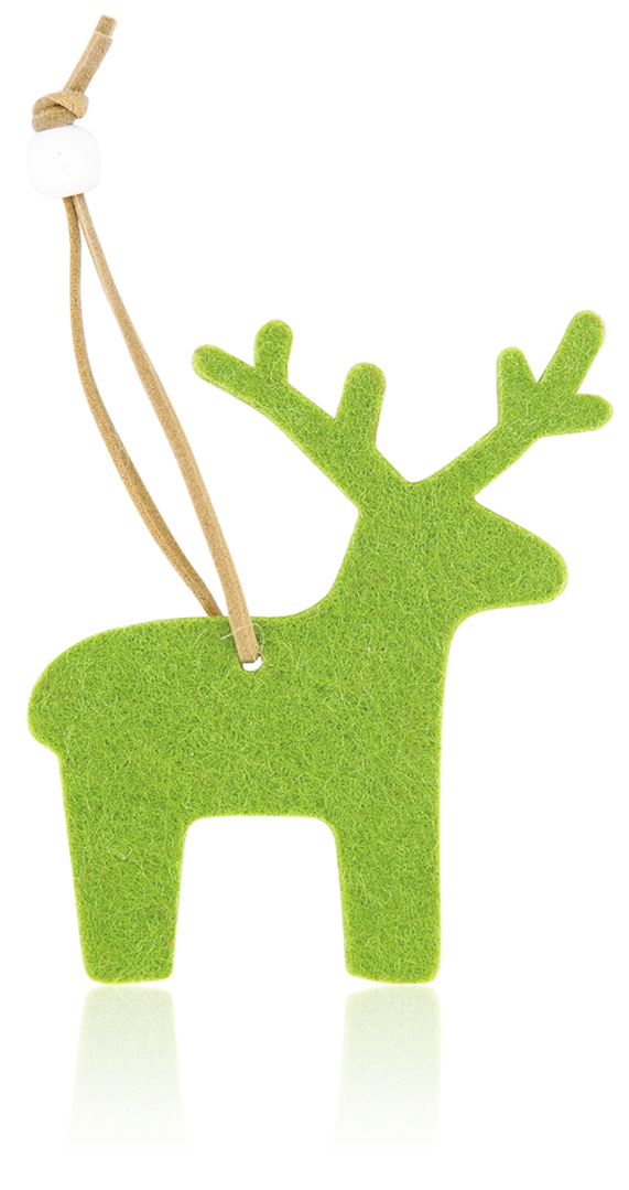 Immagine Decorazione Natalizia Fantasy