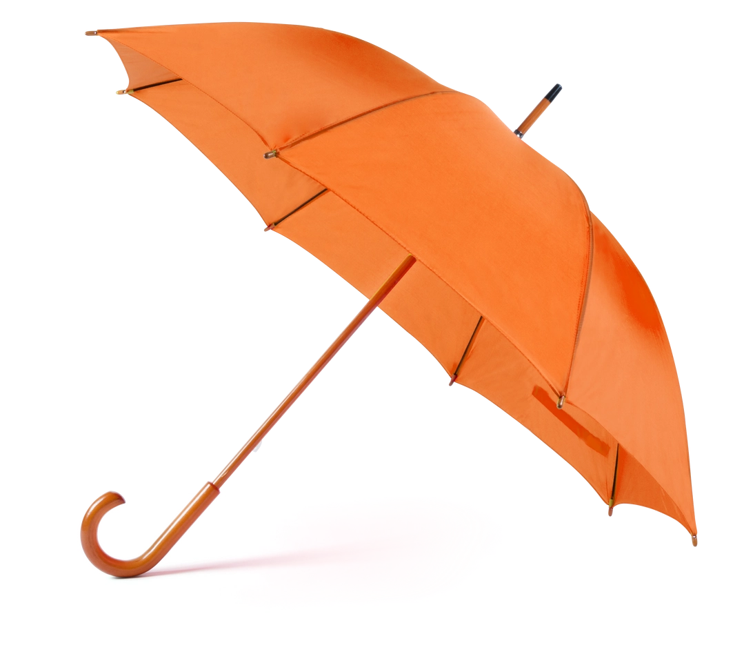 Immagine Ombrello Santy