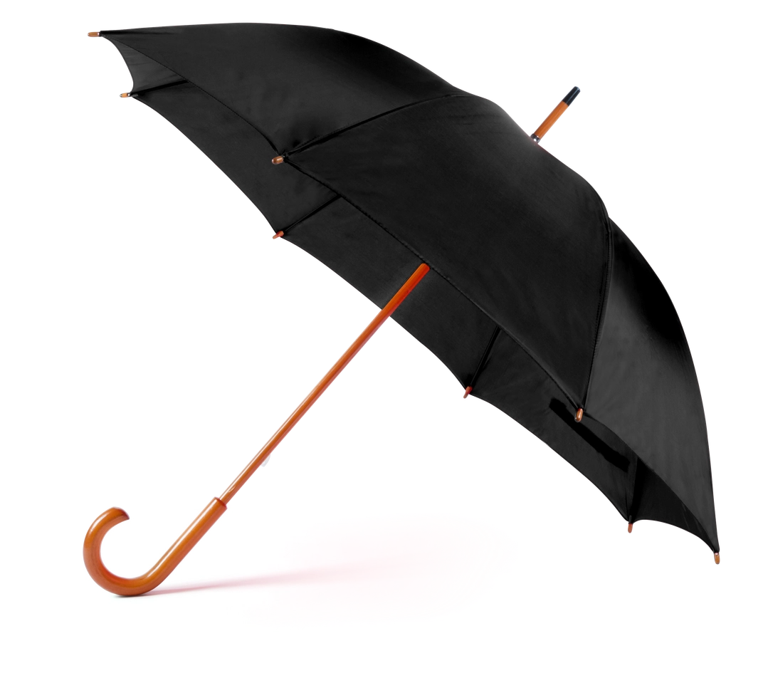 Immagine Ombrello Santy