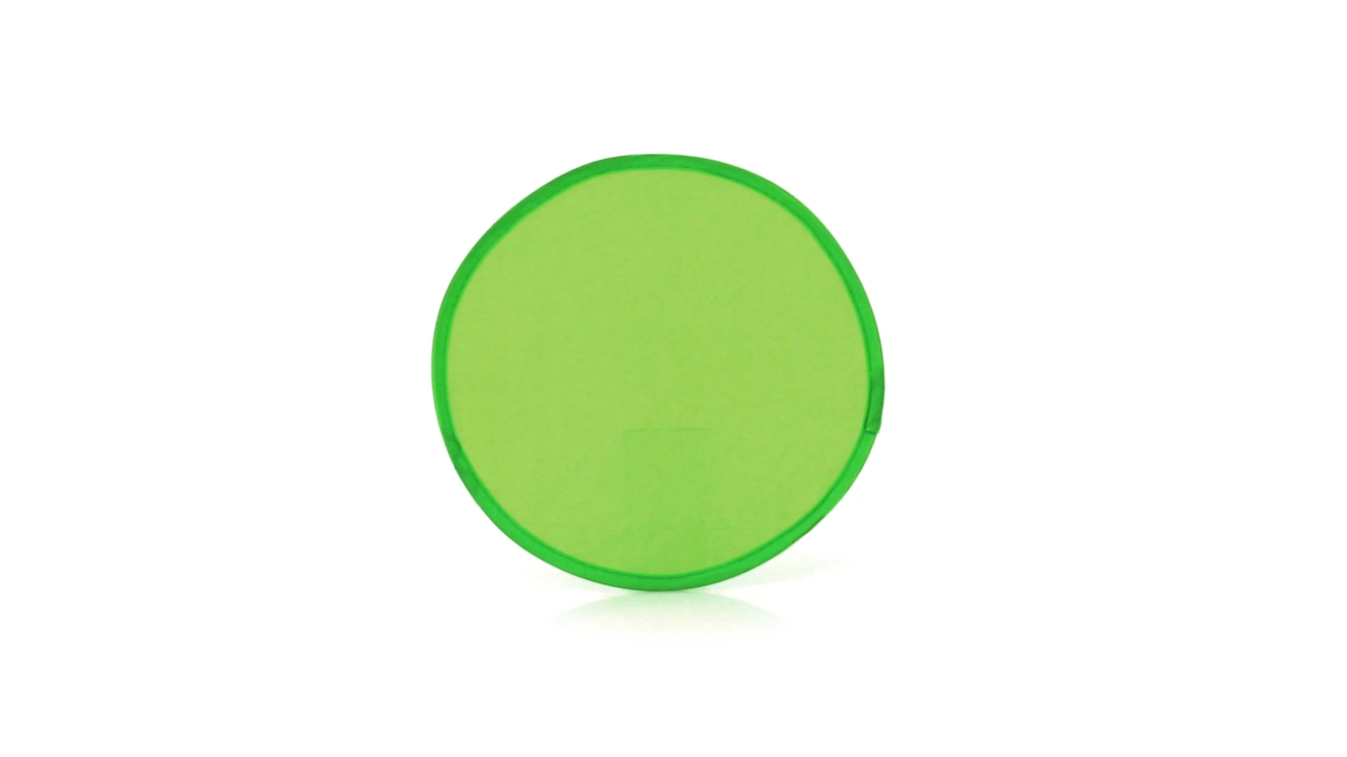 Immagine Frisbee Watson