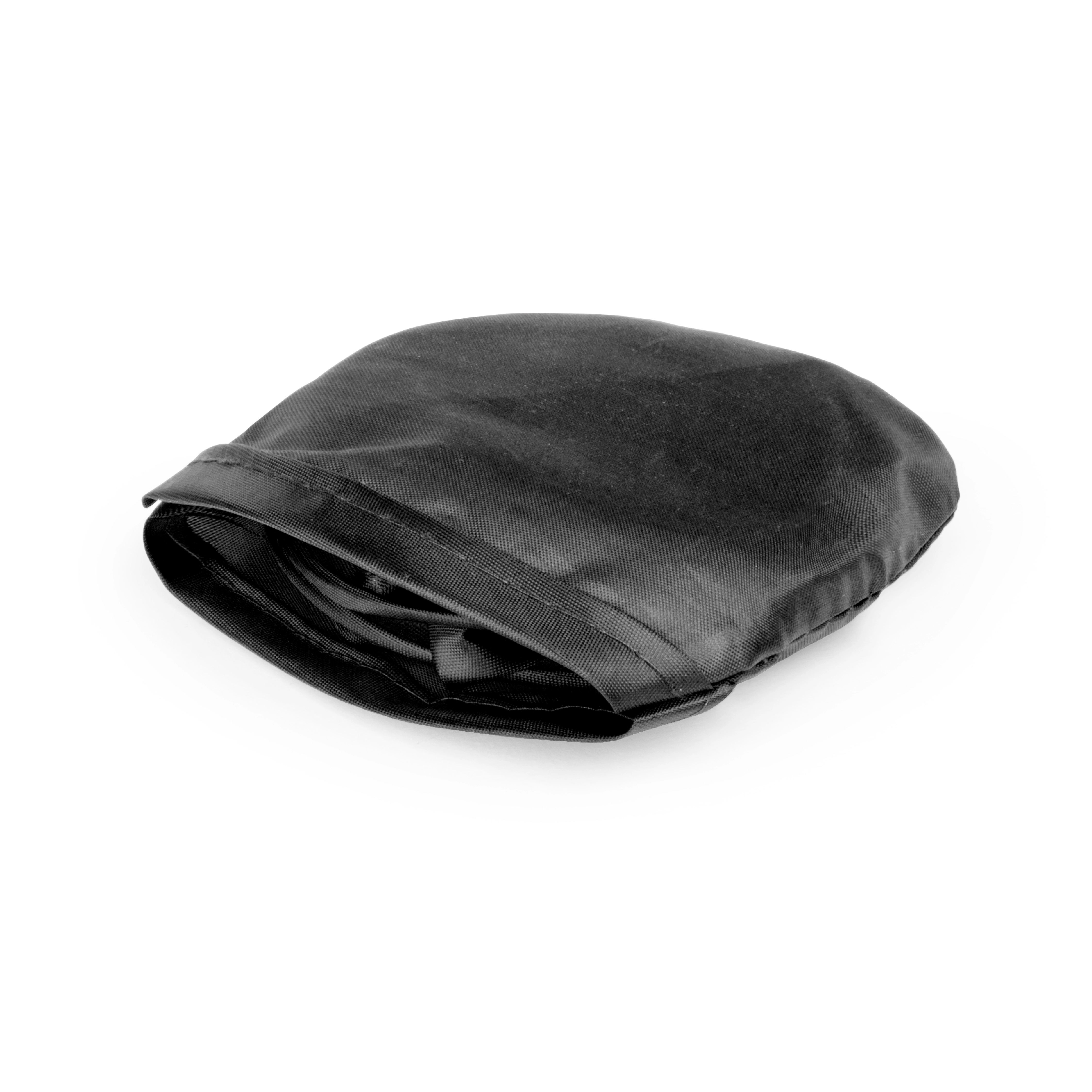 Immagine Frisbee Watson