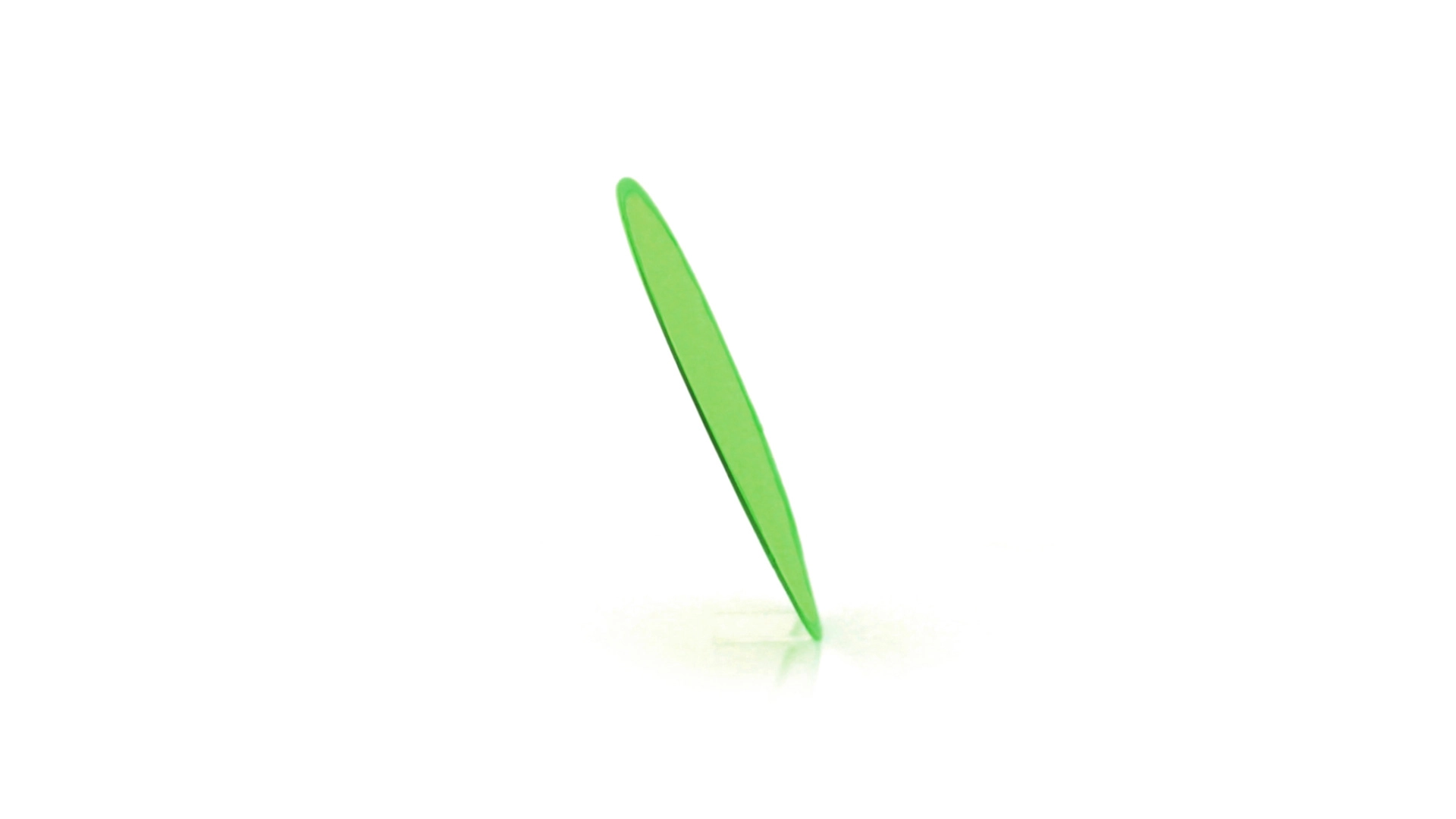 Immagine Frisbee Watson