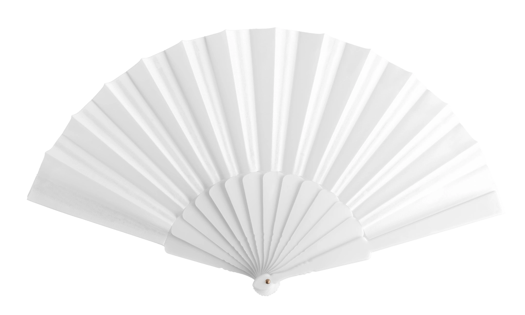 Immagine Ventaglio Tela