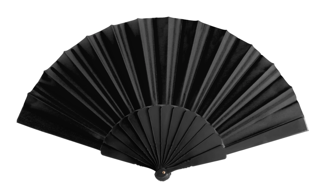 Immagine Ventaglio Tela