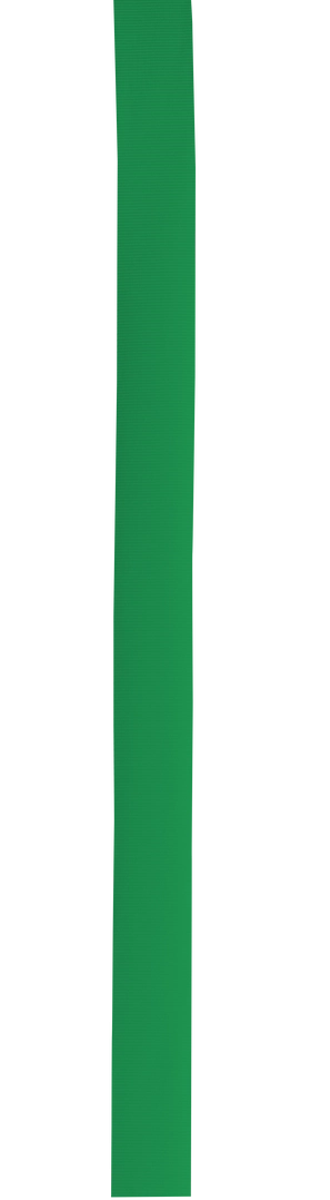 Immagine Nastro per Cappello Polyester