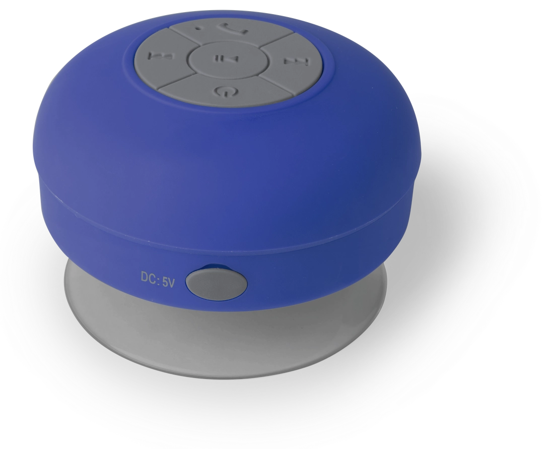 Immagine Cassa Rariax