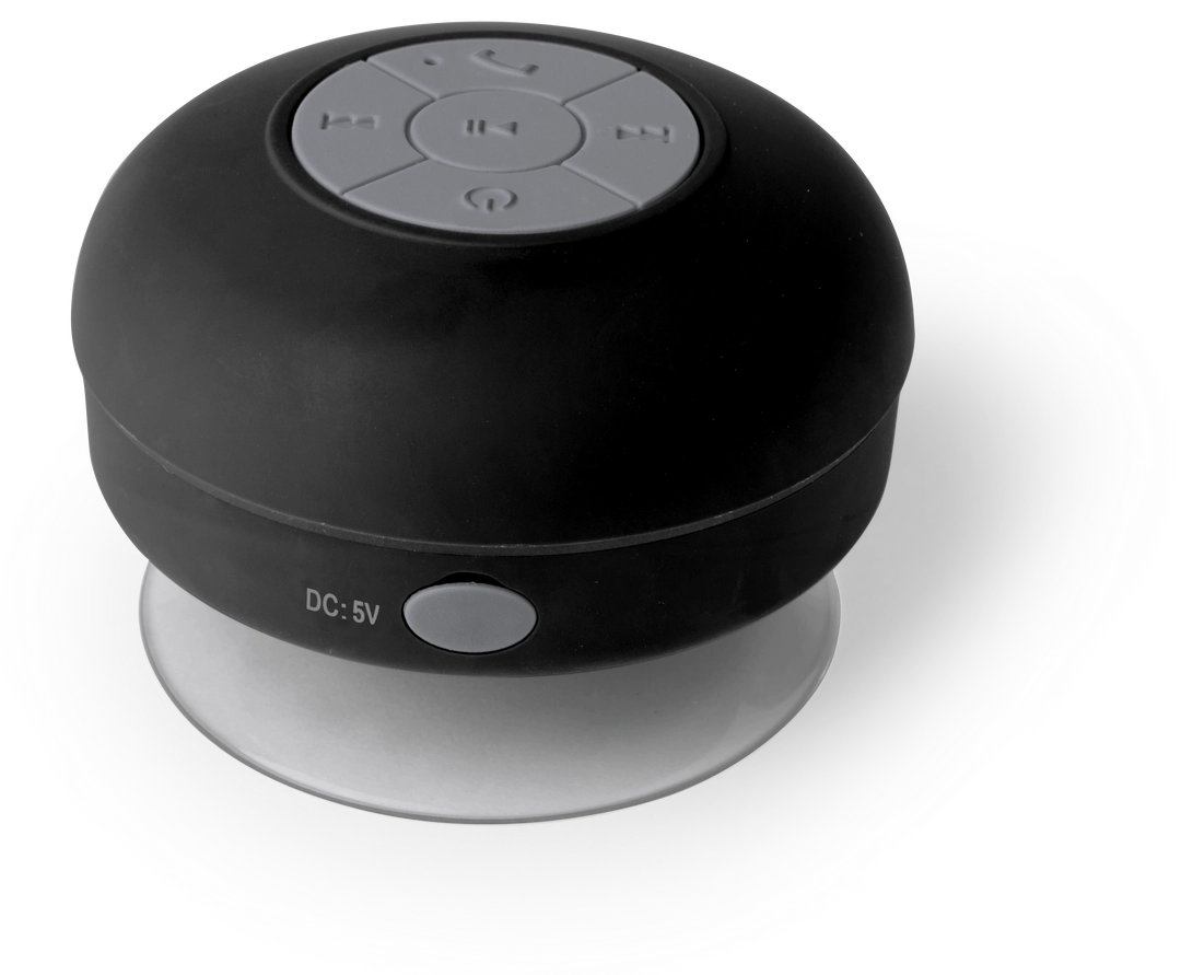 Immagine Cassa Rariax