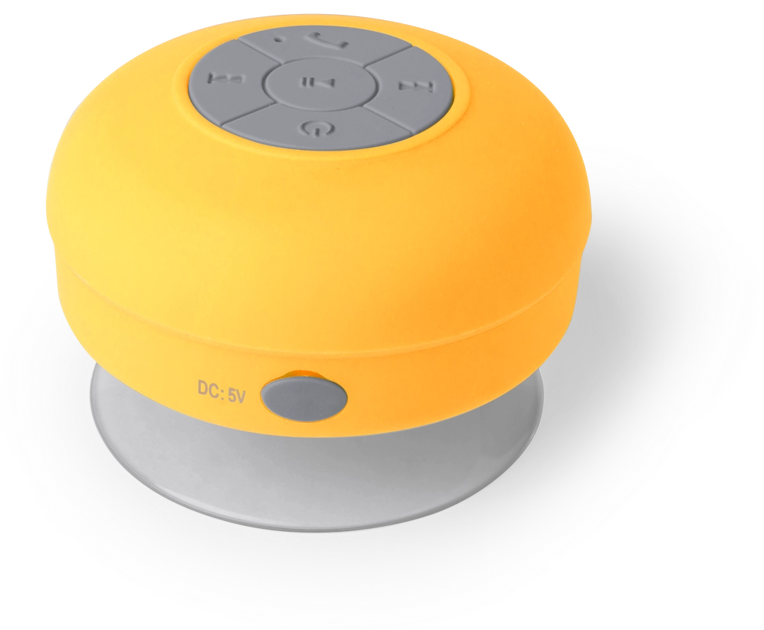 Immagine Cassa Rariax