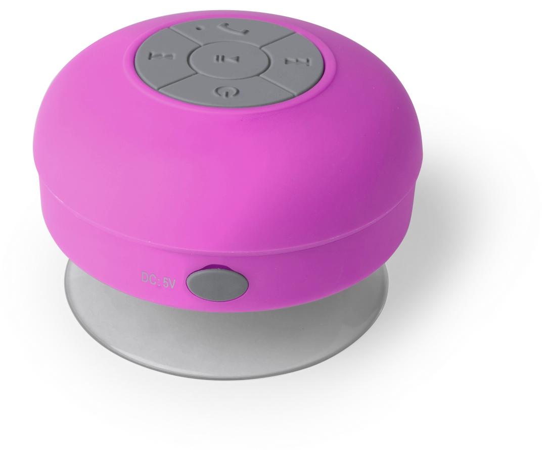 Immagine Cassa Rariax