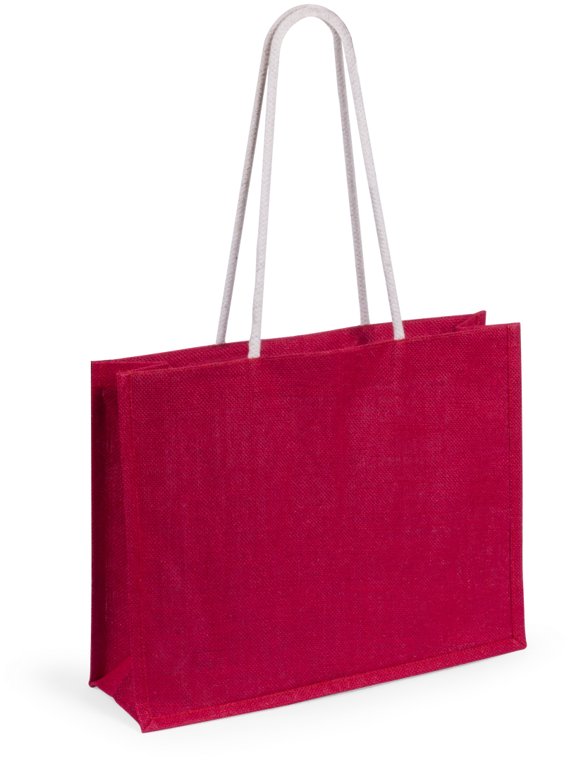 Immagine Borsa Hintol