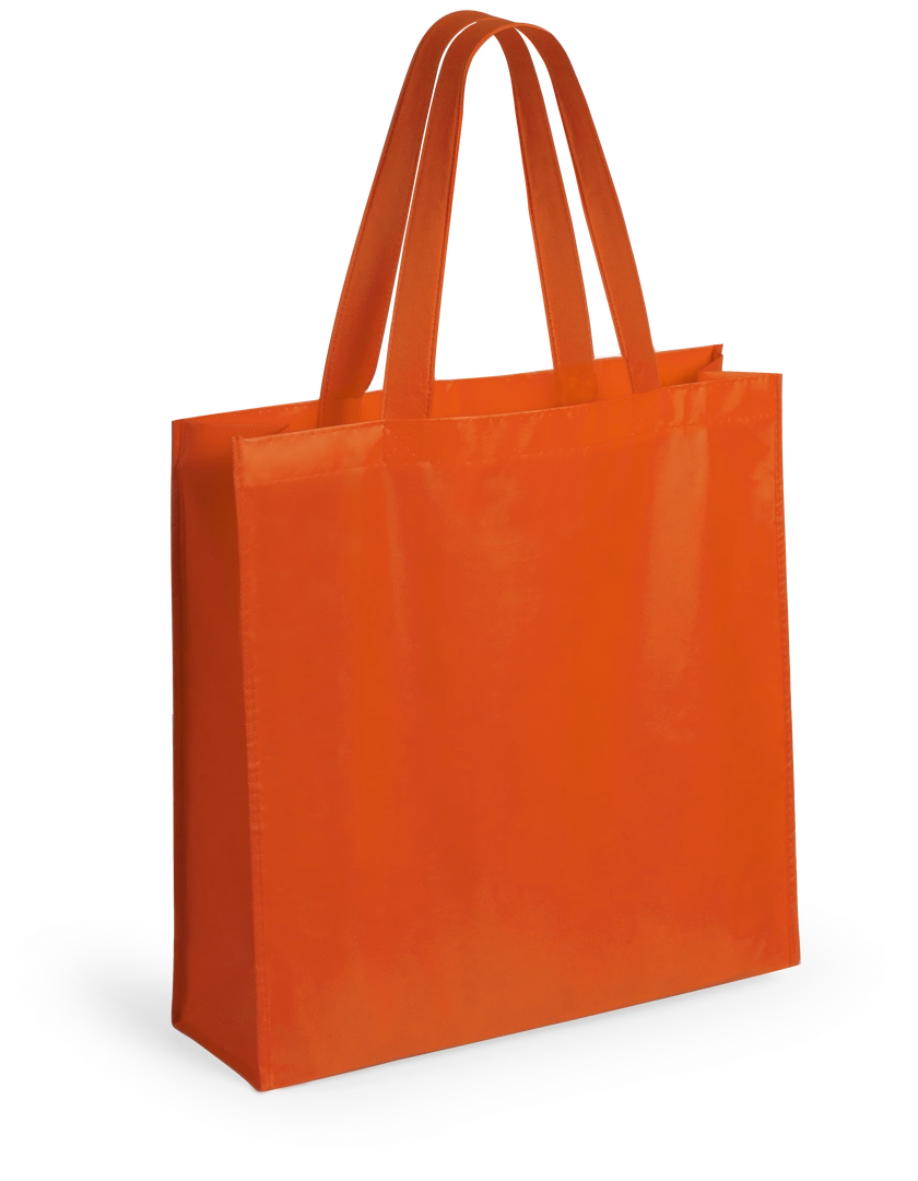 Immagine Borsa Natia