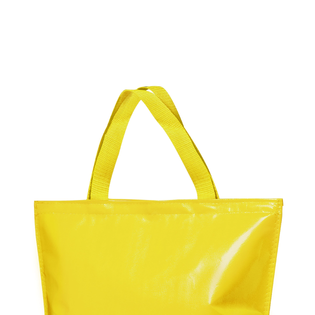 Immagine Borsa Frigo Hobart