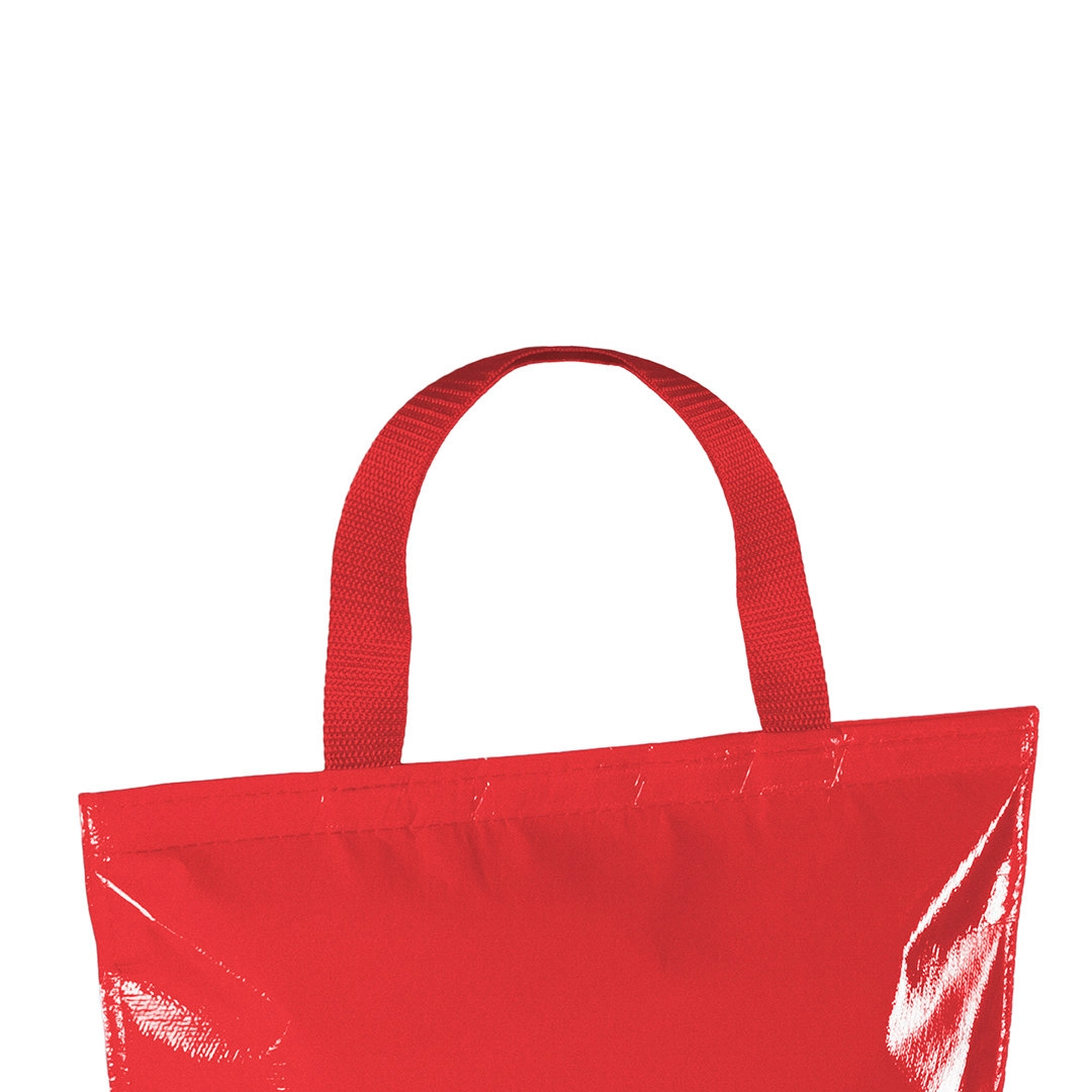 Immagine Borsa Frigo Hobart