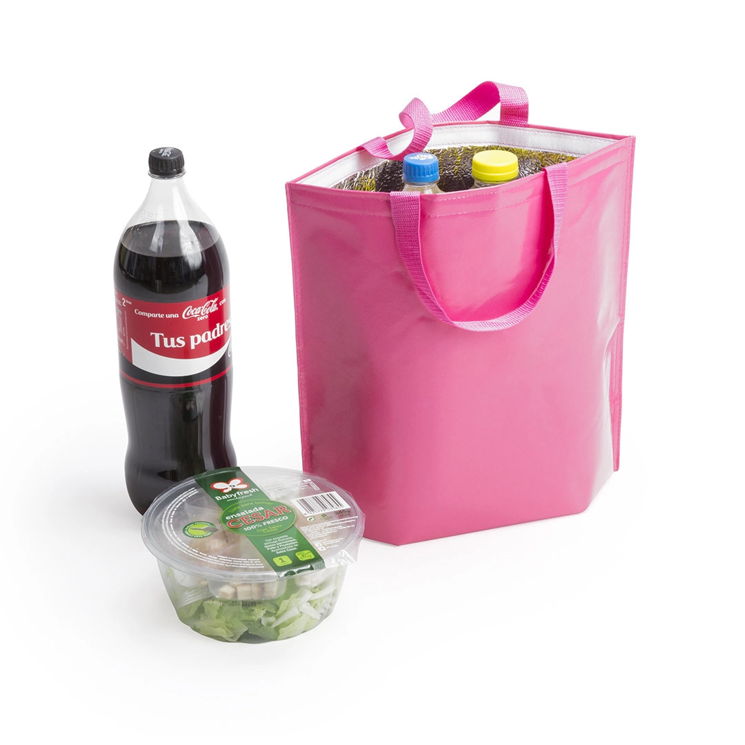 Immagine Borsa Frigo Hobart