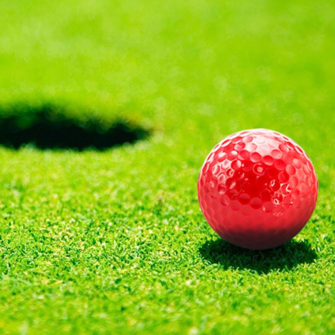 Immagine Palla da Golf Nessa