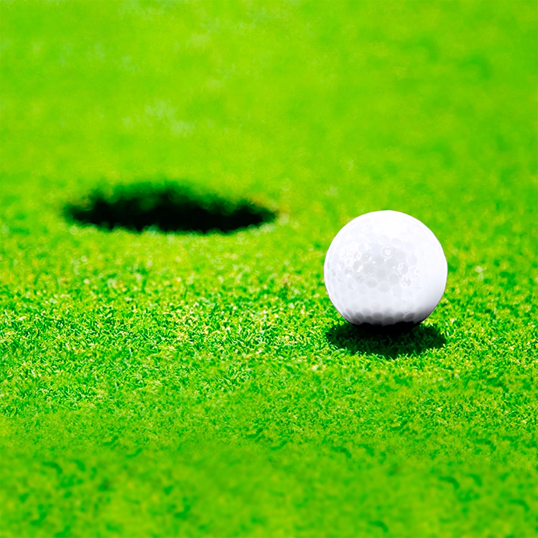 Immagine Palla da Golf Nessa