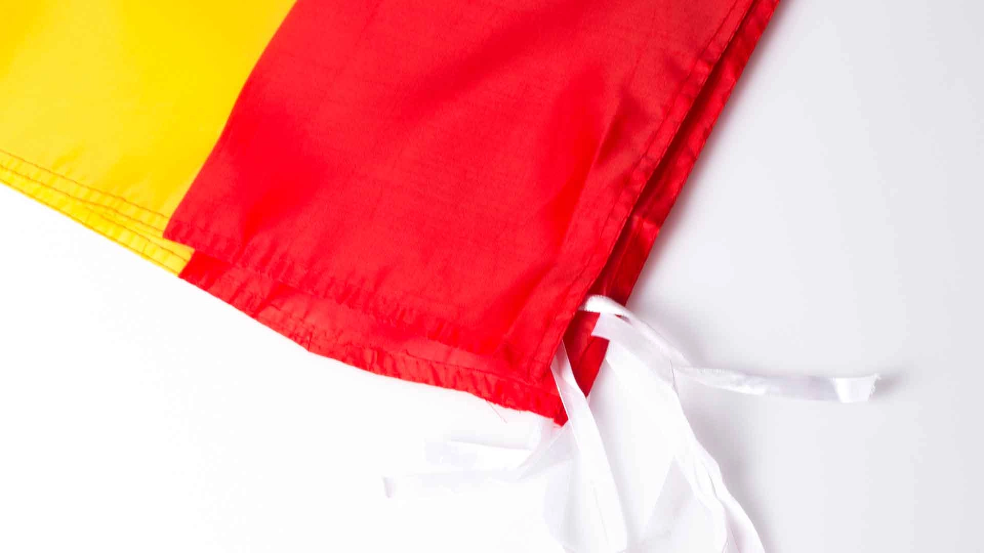 Immagine Bandiera Caser