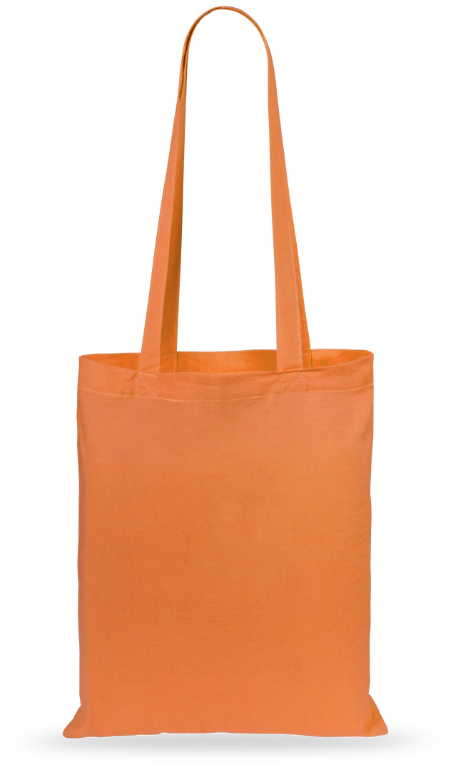 Immagine Borsa Geiser