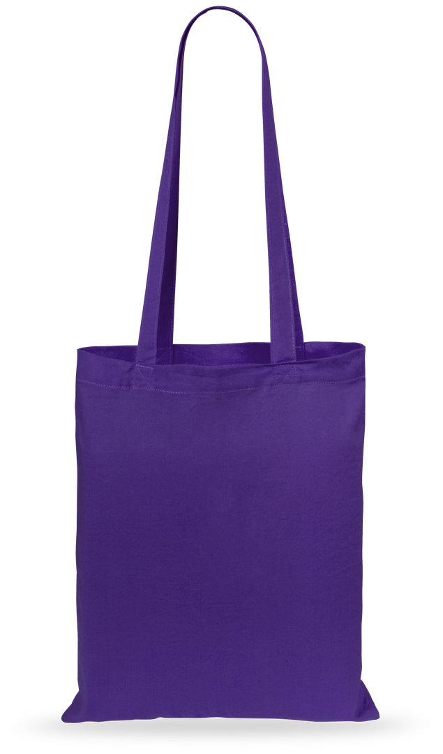 Immagine Borsa Geiser