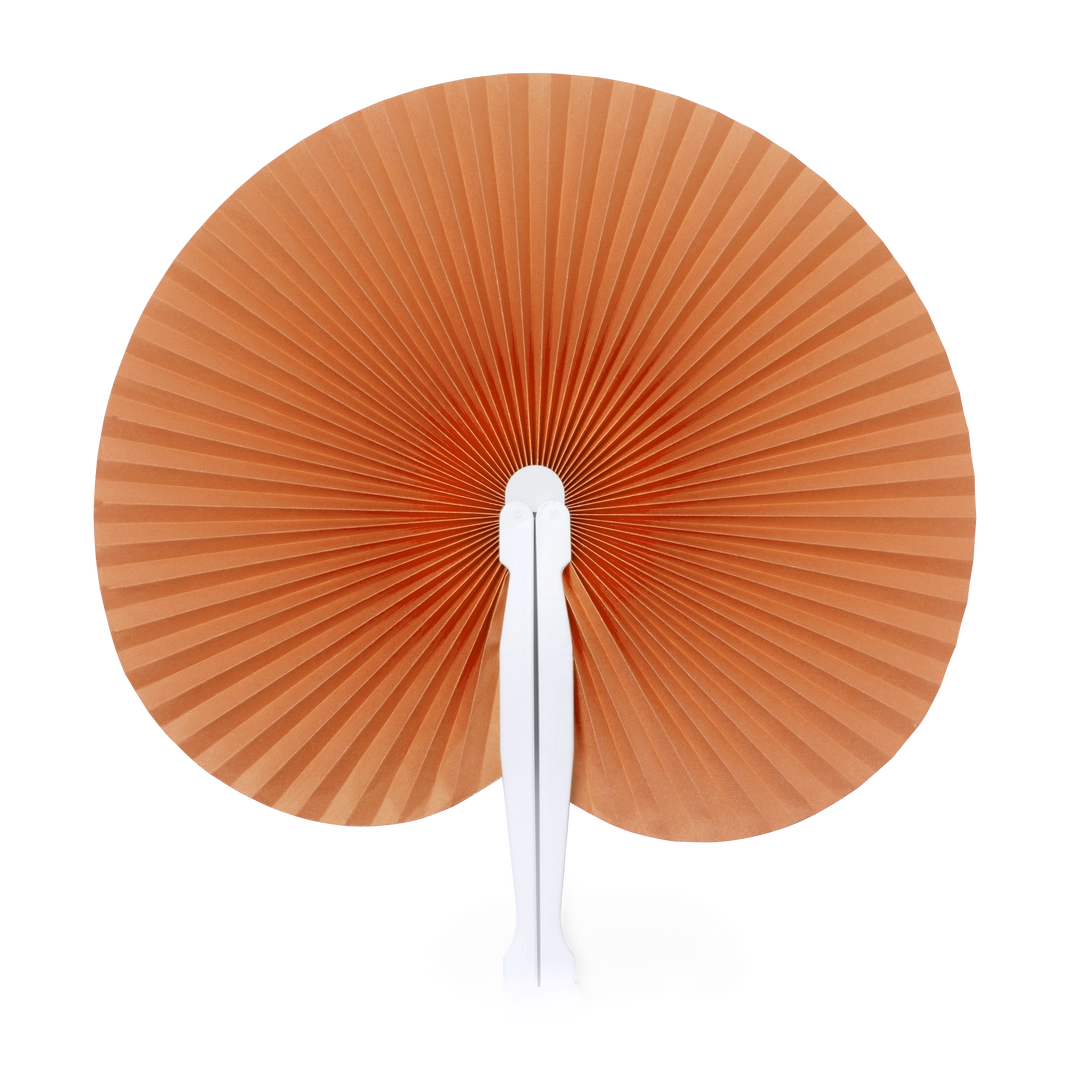 Immagine Ventaglio Pai Pai Stilo