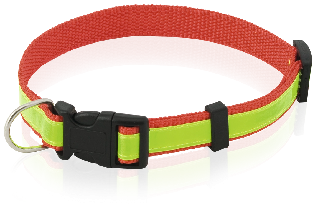 Immagine Collare Muttley