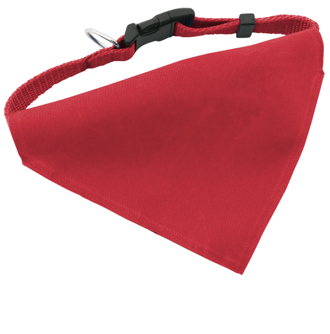 Immagine Collare Bandana Roco
