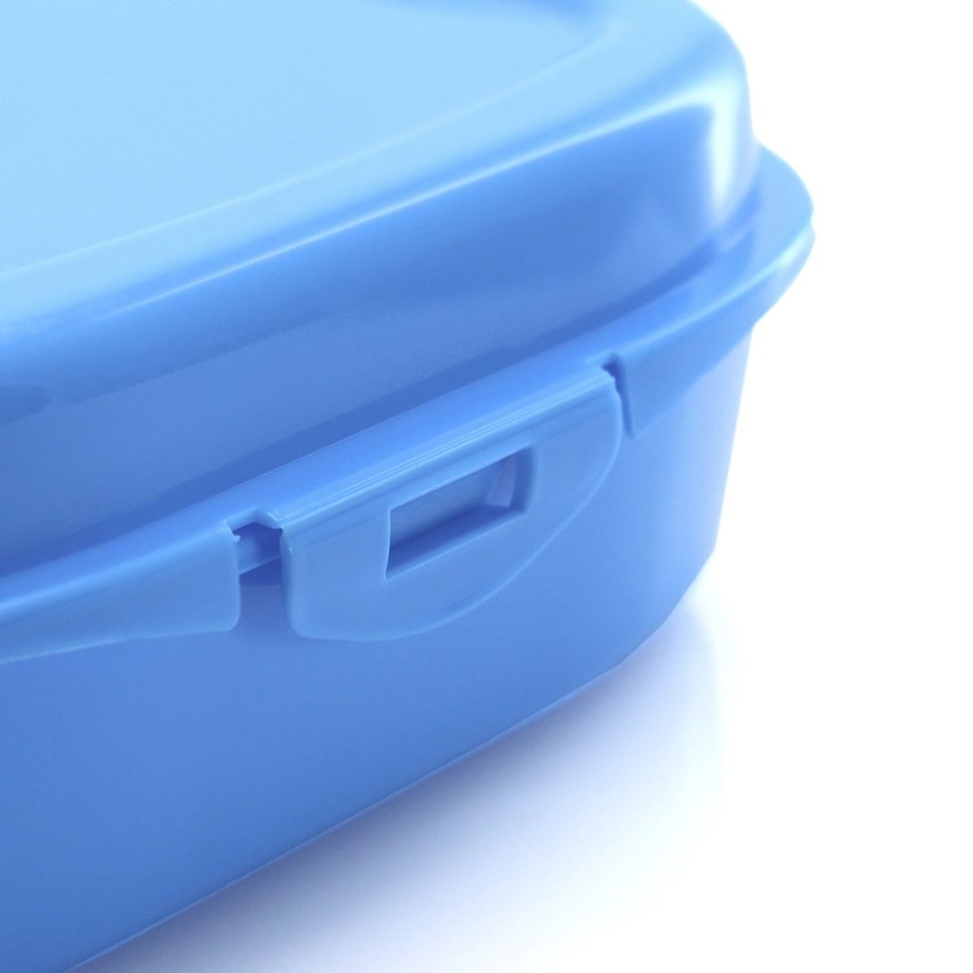 Immagine Scatola Pranzo Panini Noix