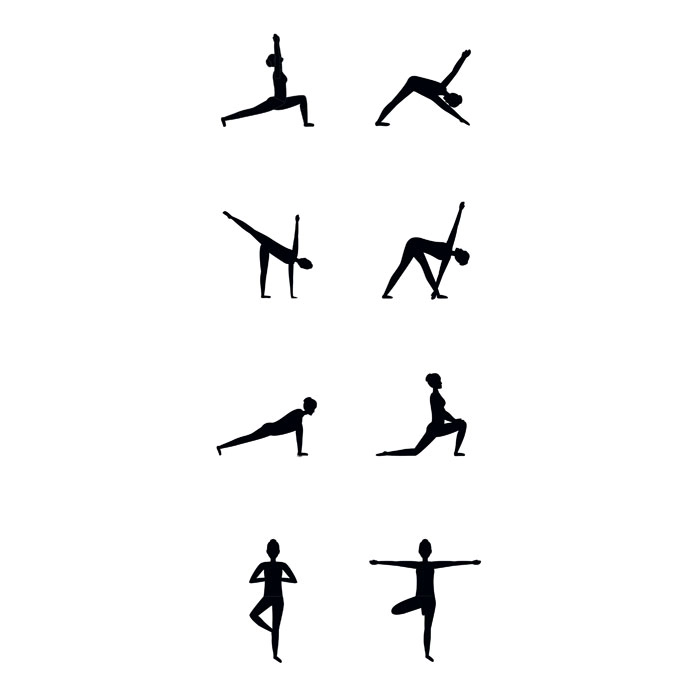 Immagine YOGI