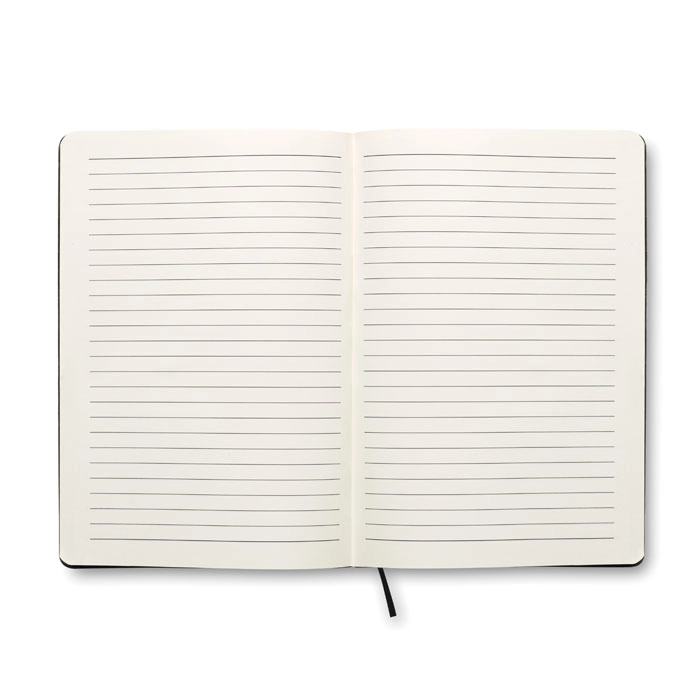 Immagine SOFTNOTE