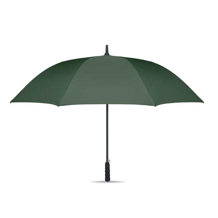 Immagine LLUVIA