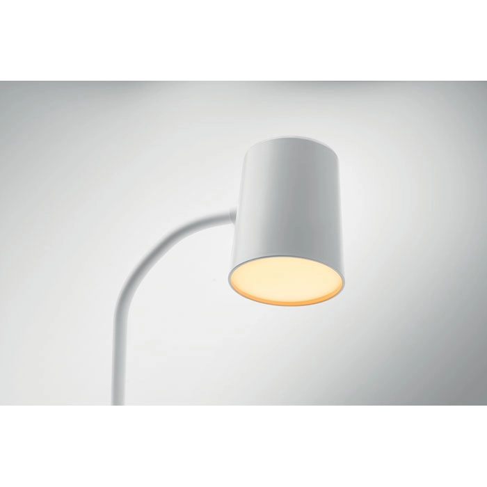 Immagine SPOT
