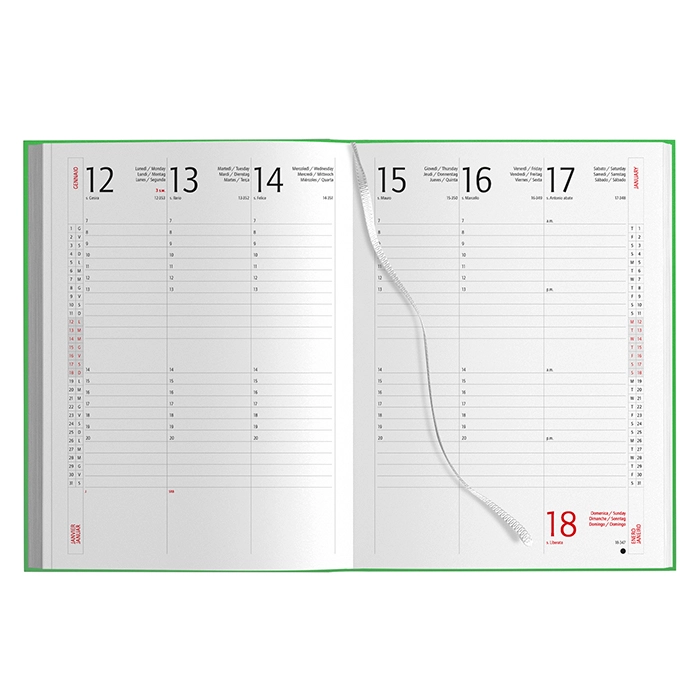 Immagine AGENDA SETTIMANALE