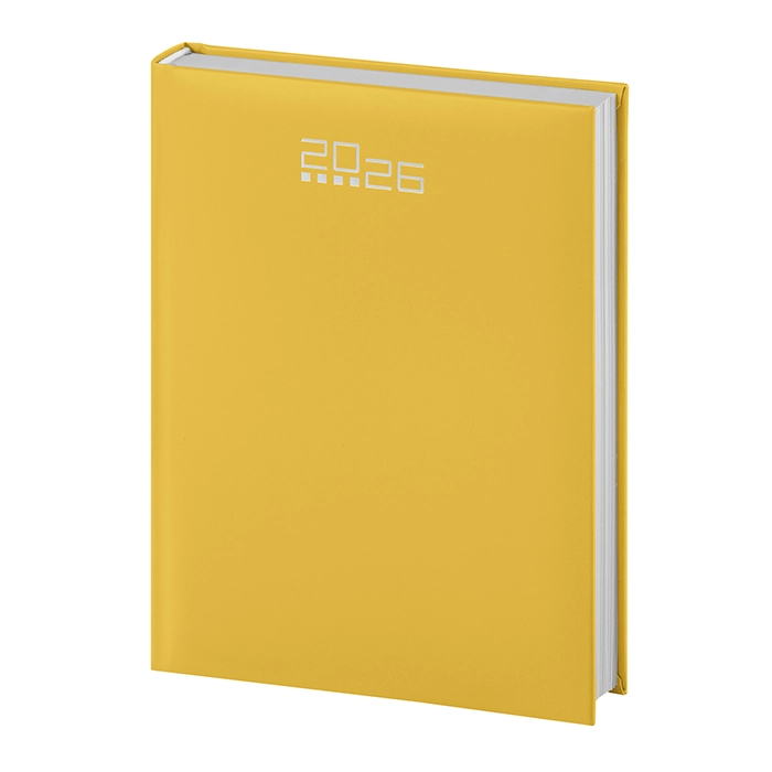 Immagine AGENDA GIORNALIERA