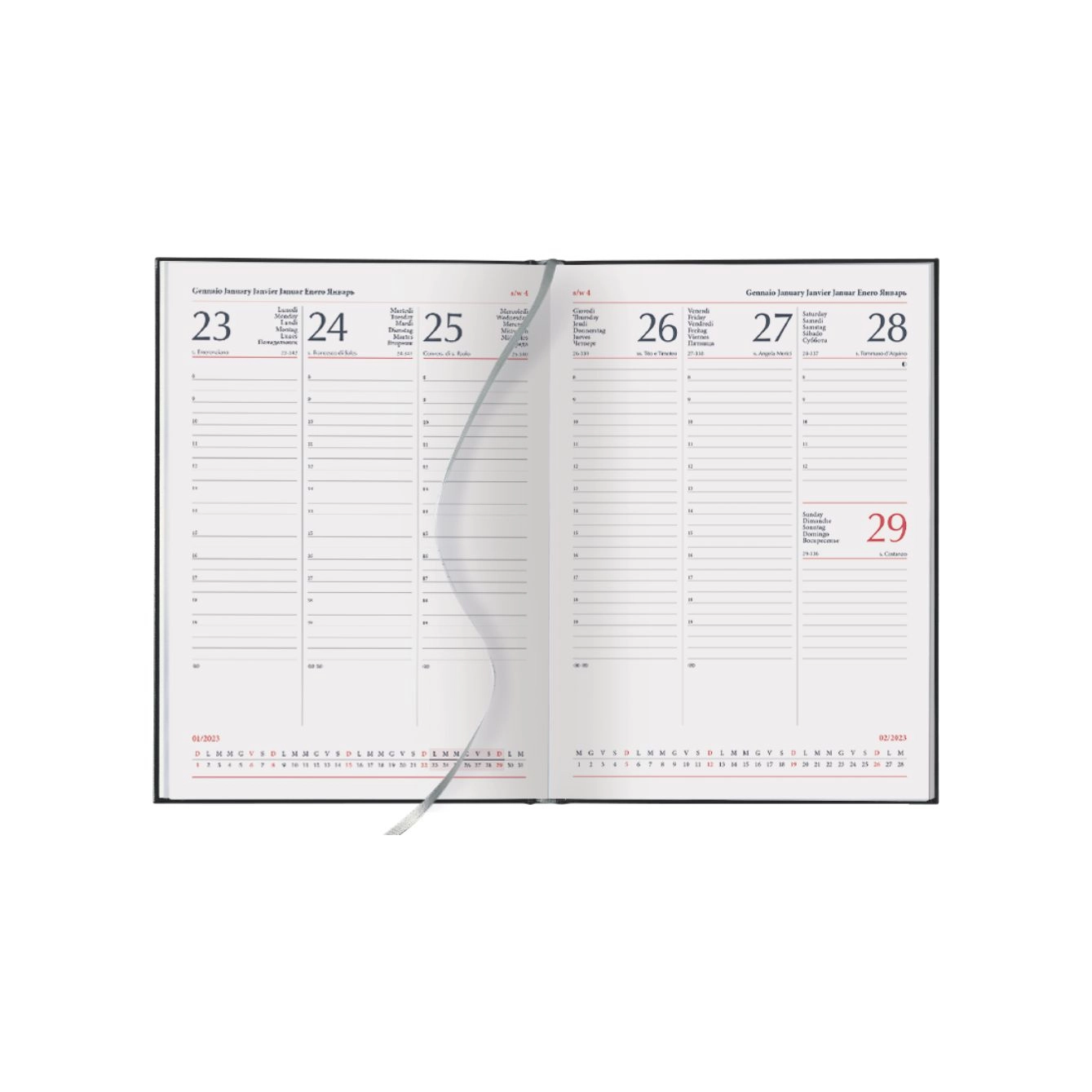 Immagine S17 INTERNO SETTIMANALE CM 17X24