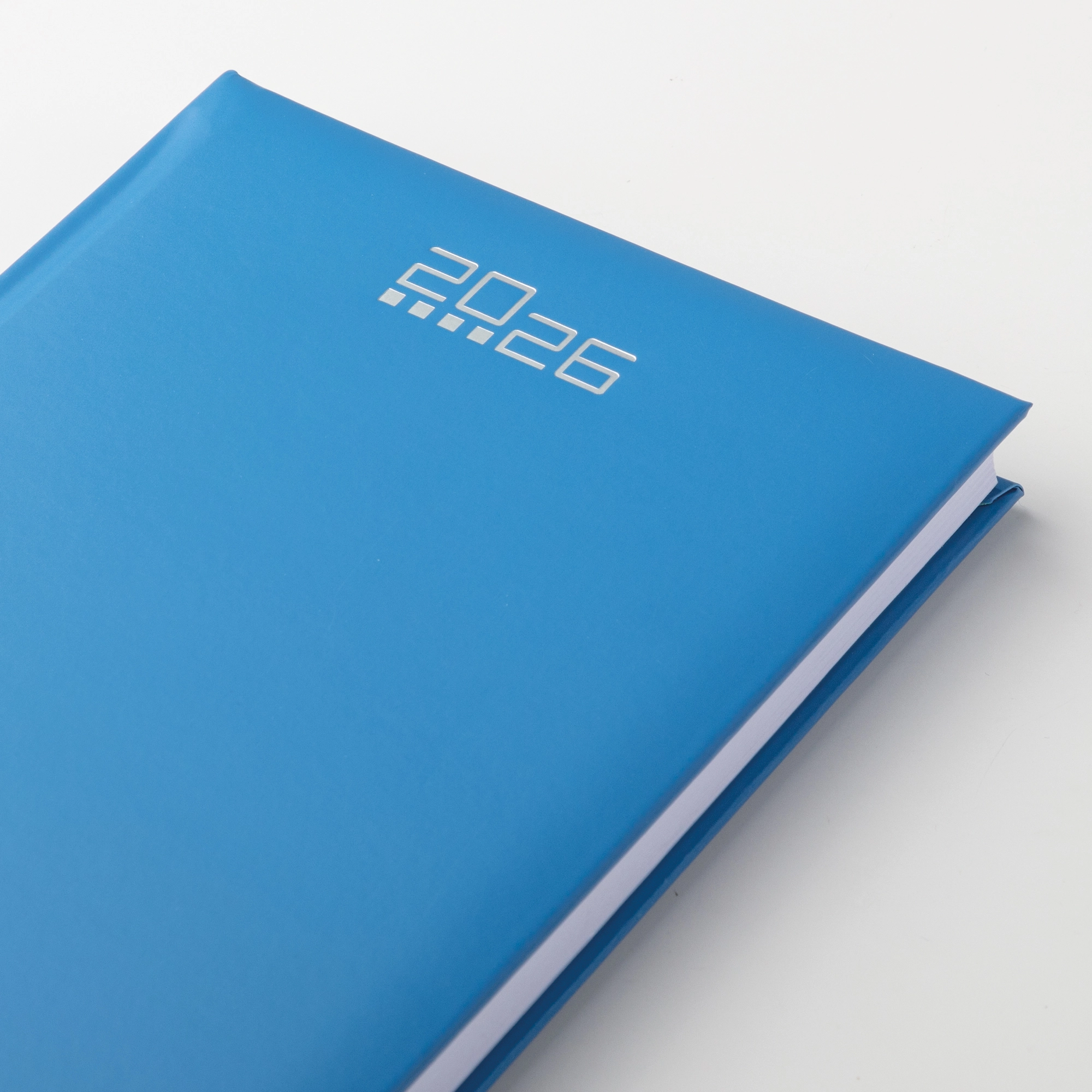 Immagine AGENDA GIORNALIERA