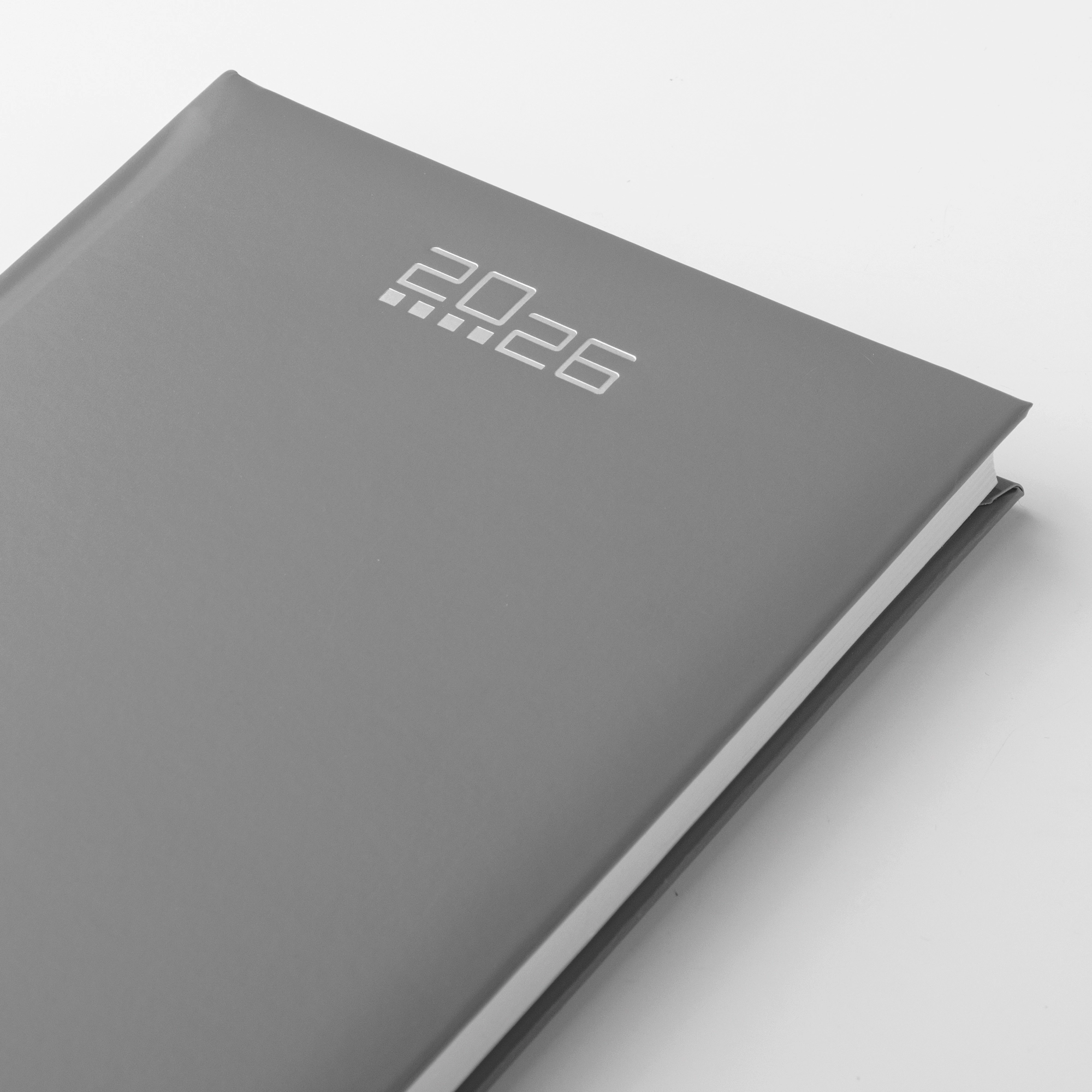 Immagine AGENDA GIORNALIERA